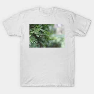 Macro pine tree T-Shirt